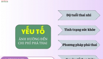 chi-phi-pha-thai-het-bao-nhieu-dia-chi-pha-thai-uy-tin-tai-ha-noi-nam-2025