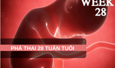 pha-thai-28-tuan